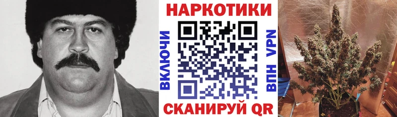 Купить наркотик Краснодар COCAIN  Меф мяу мяу  СОЛЬ  МАРИХУАНА  ГАШИШ 