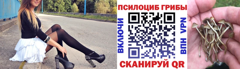 Псилоцибиновые грибы Psilocybine cubensis  Краснодар 